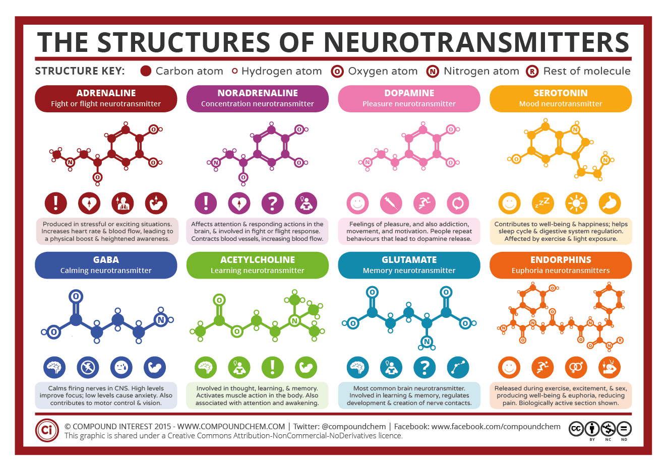 What are neurotransmitters?