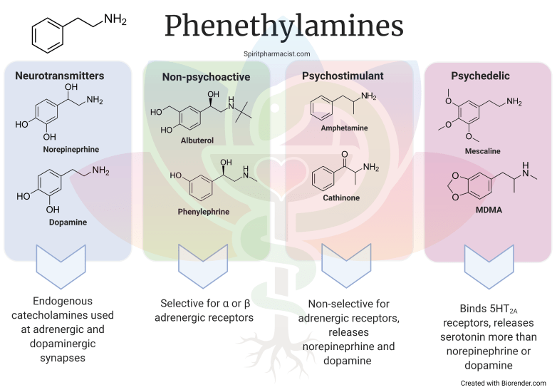 What is phenethylamine&nbsp;class?